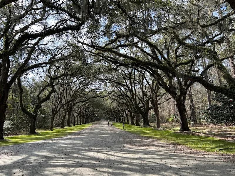 View of Wormsloe State Historic Site in Savannah, GA