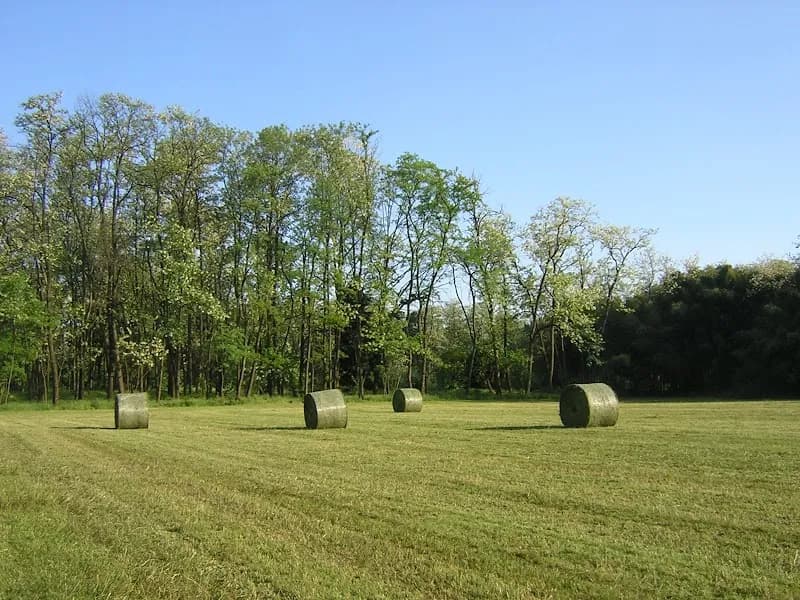 WWF Vanzago Bosco nature preserve in Arese, Lombardy