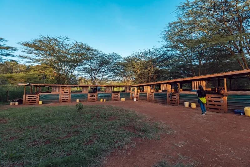 View of Xina Horse Riding School in Nairobi, NBO