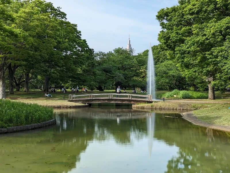 View of Yoyogi Park in Tokyo, TK