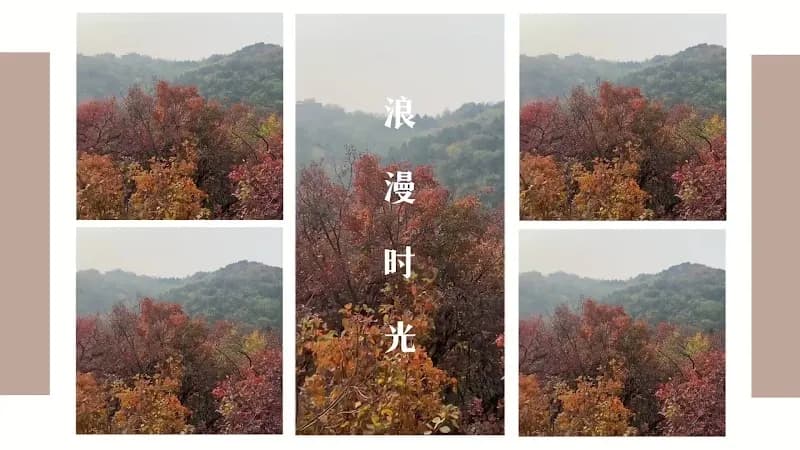 View of Zhangfang Bamboo Forest Park in Fangshan District, Beijing