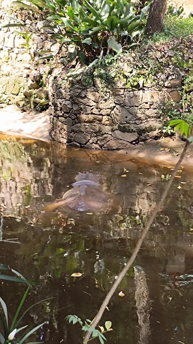 View of Zoológico de São Paulo in Sao Paulo, SP