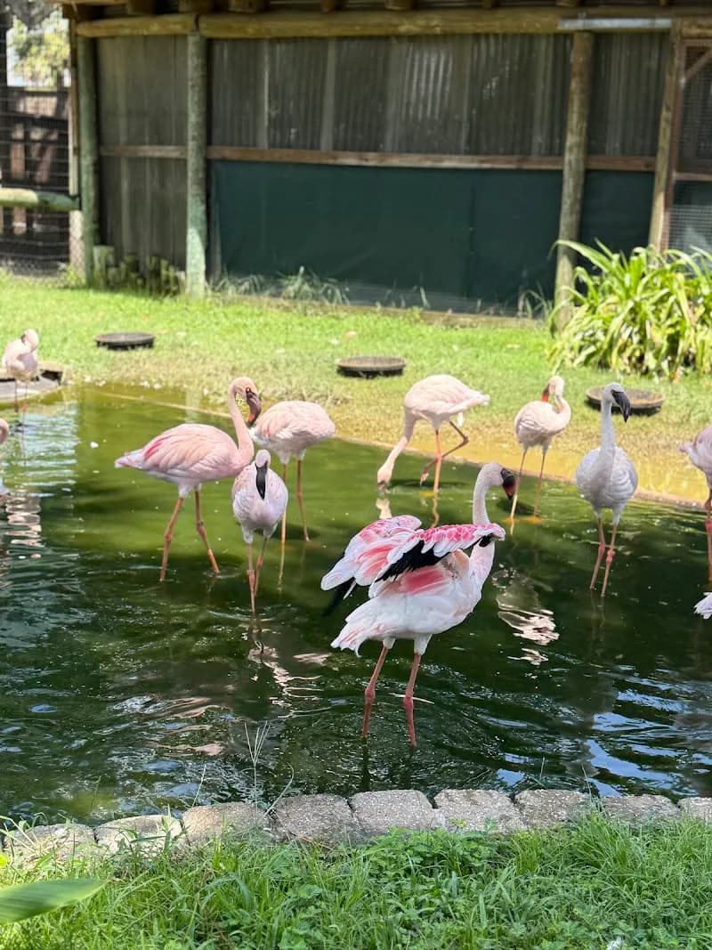 View of ZooWorld in Panama City Beach, FL